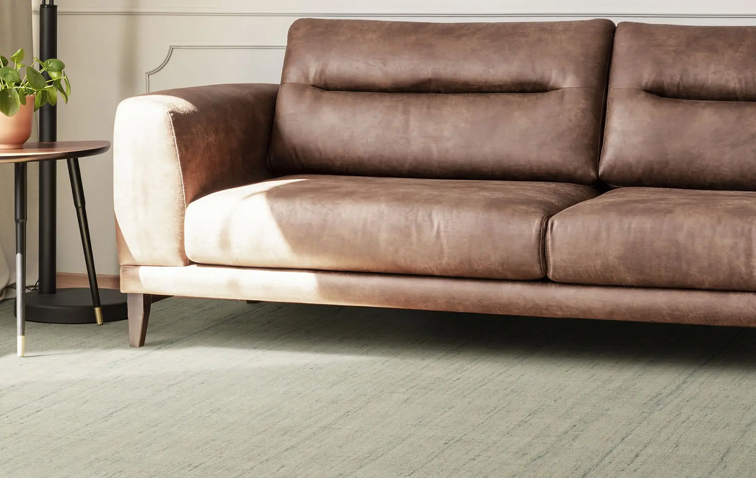 living room rug