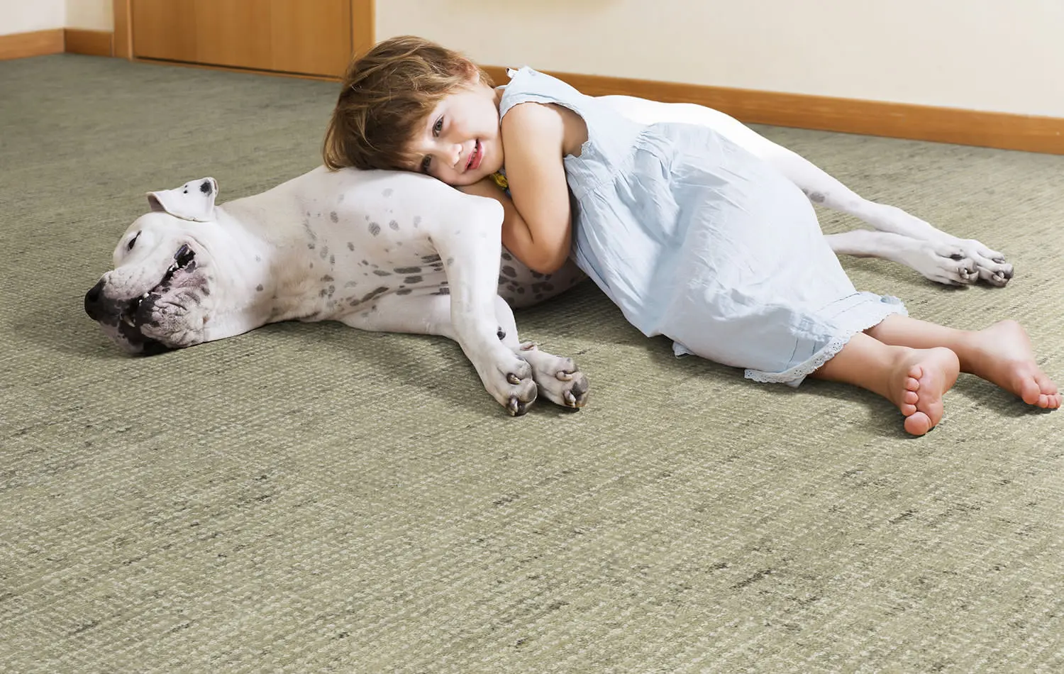best carpet for pets