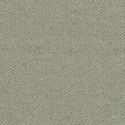 Beauvoir Collection