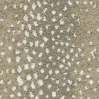 Sonora Sands Collection