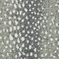 Sonora Sands Collection