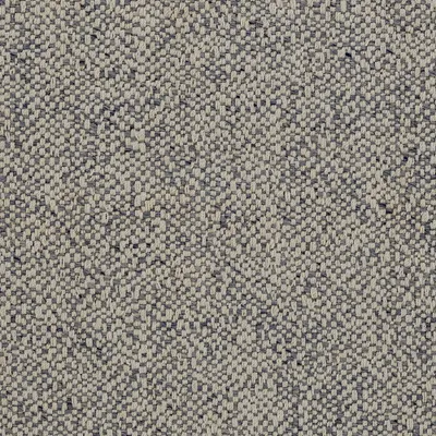 Pointella Collection