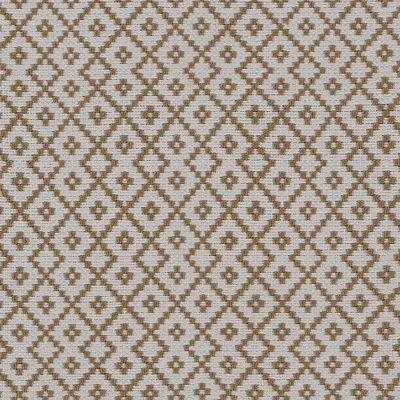 Bluffton Collection