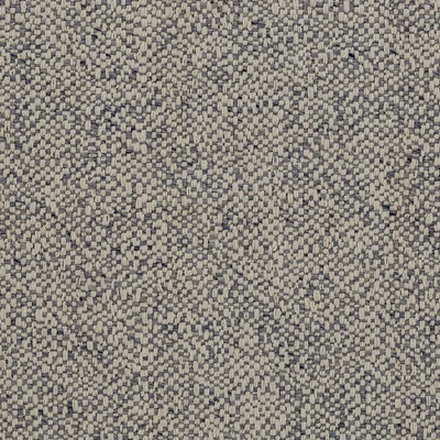 Pointella Collection