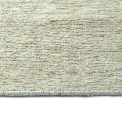 Elysia Collection