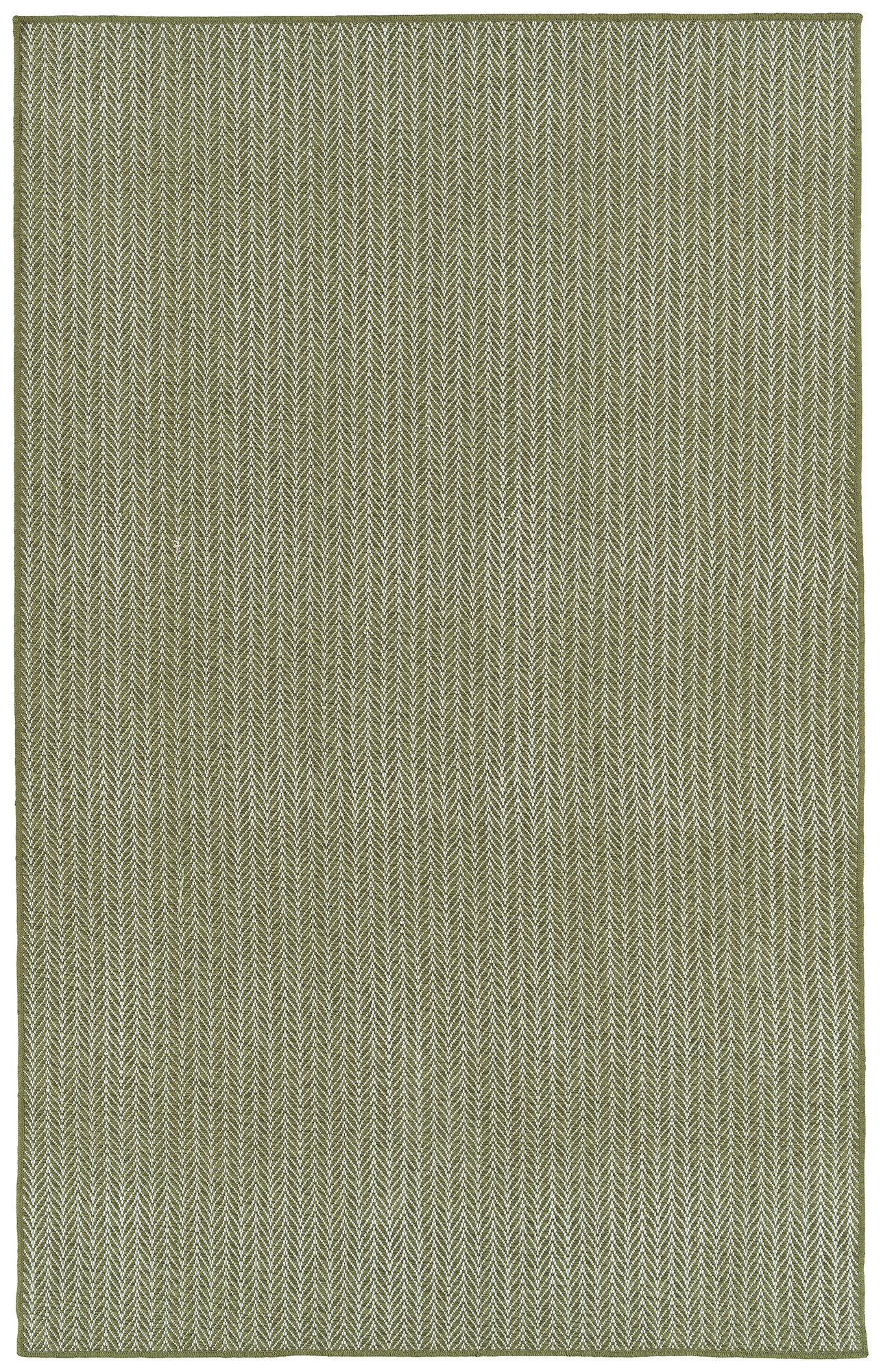 Fern